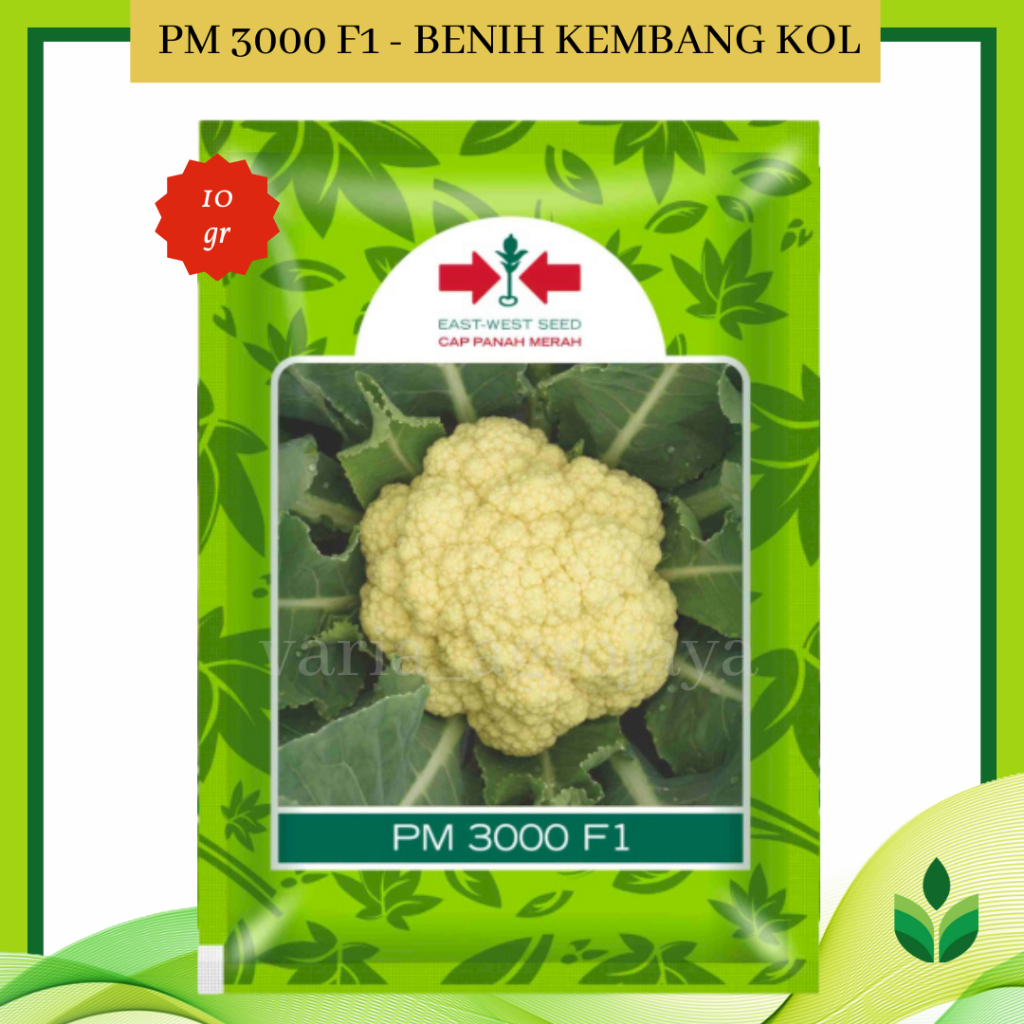 Benih Bibit Kembang Kol PM 3000 F1 10 gr - Cap Panah Merah