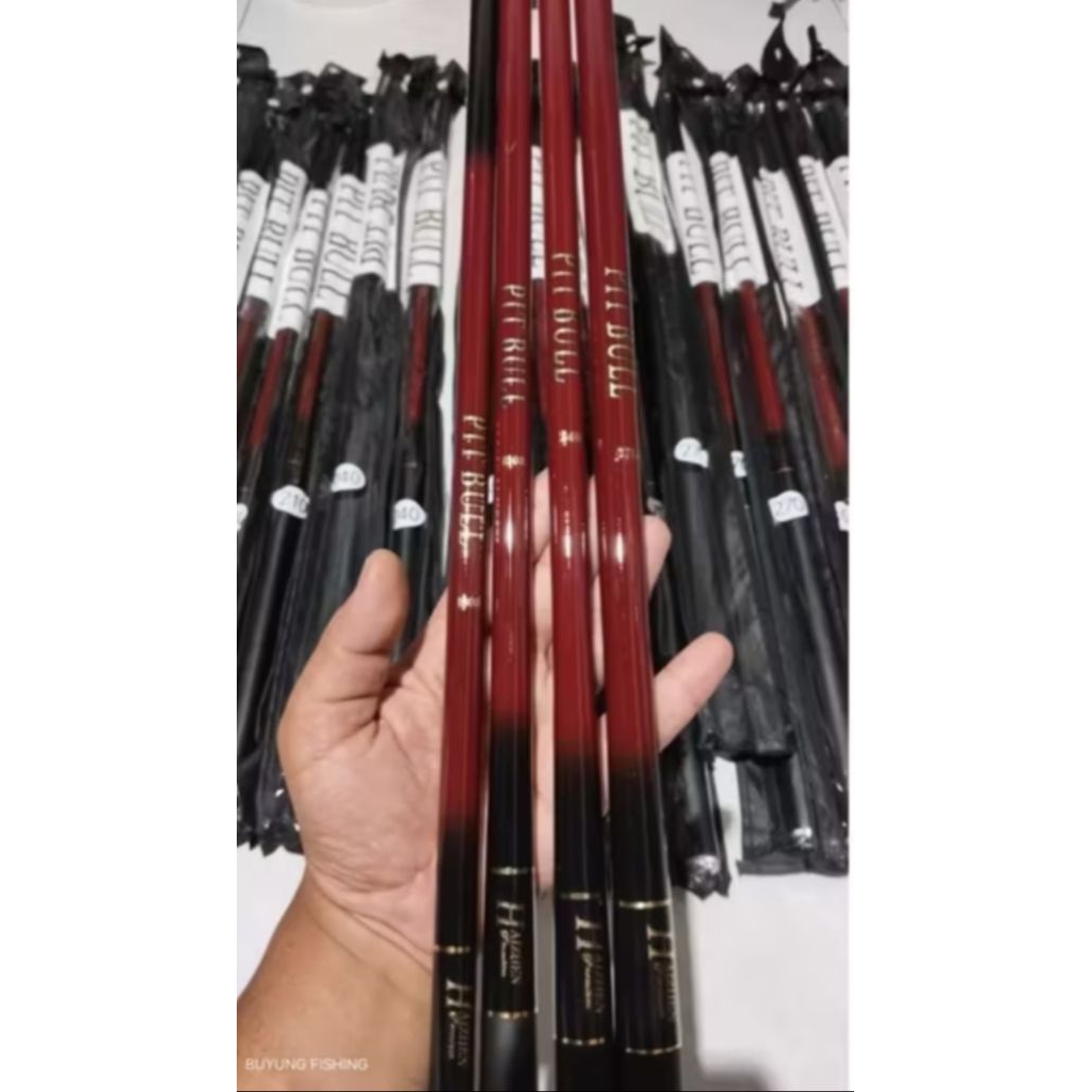 JORAN TEGEK GALATAMA LELE HAIZEN PITBULL