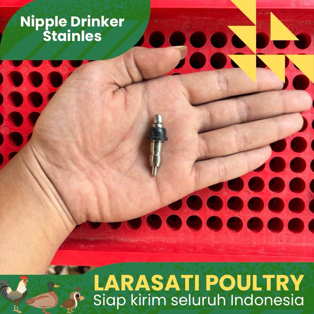Nipel stenlis burung puyuh | nipple drinker | Nepel puyuh | Nipel ayam stenlis