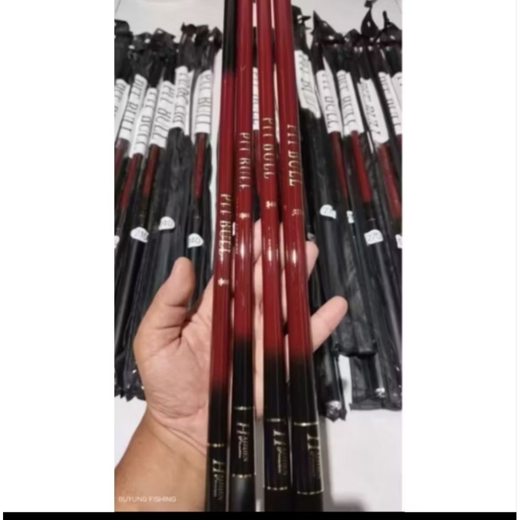 JORAN TEGEK GALATAMA LELE HAIZEN PITBULL