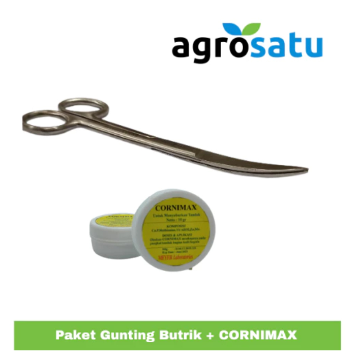 Paket Gunting Butik Butrik + Cornimax Obat Penyubur Tanduk Domba Garut