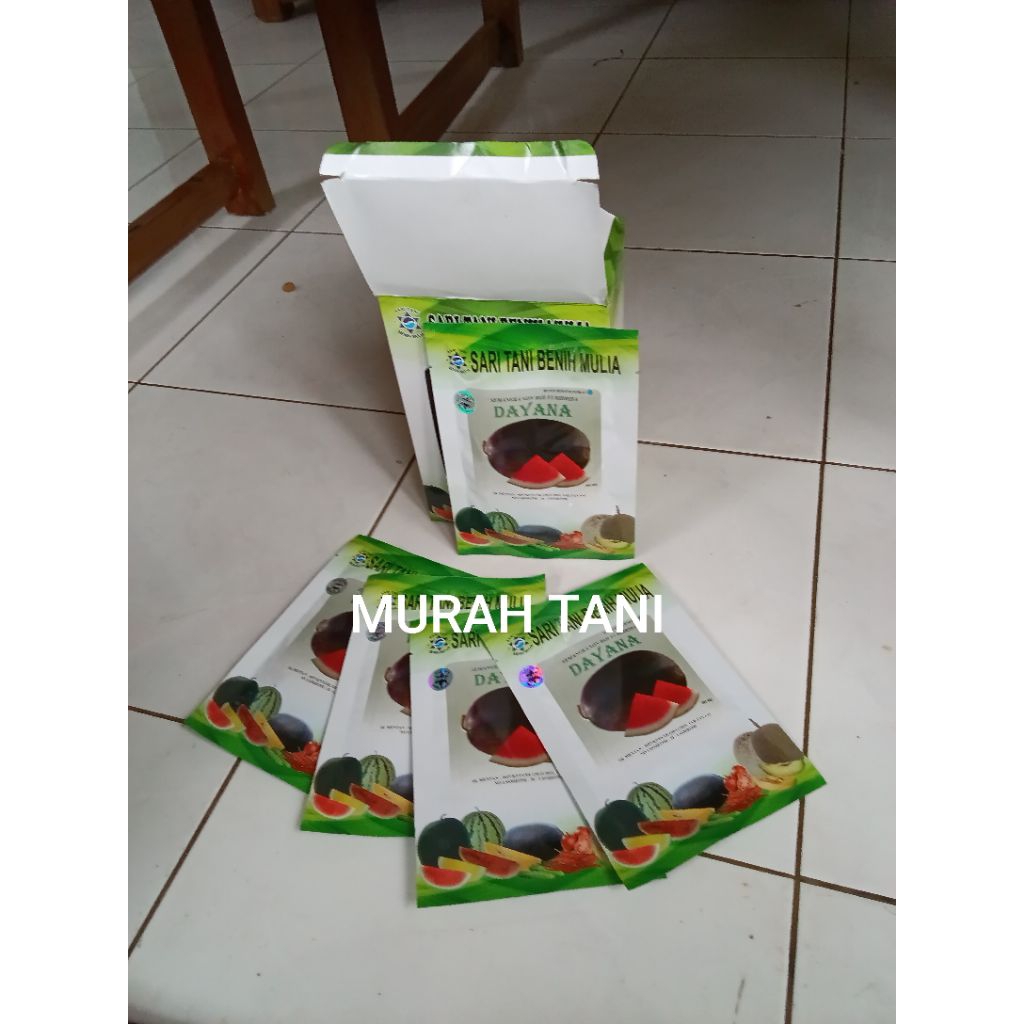 Benih Bibit Semangka Non Biji Dayana F1, Tipe Lonjong Oval, Tahan Virus (Isi 300 Butir /biji) Kadalu