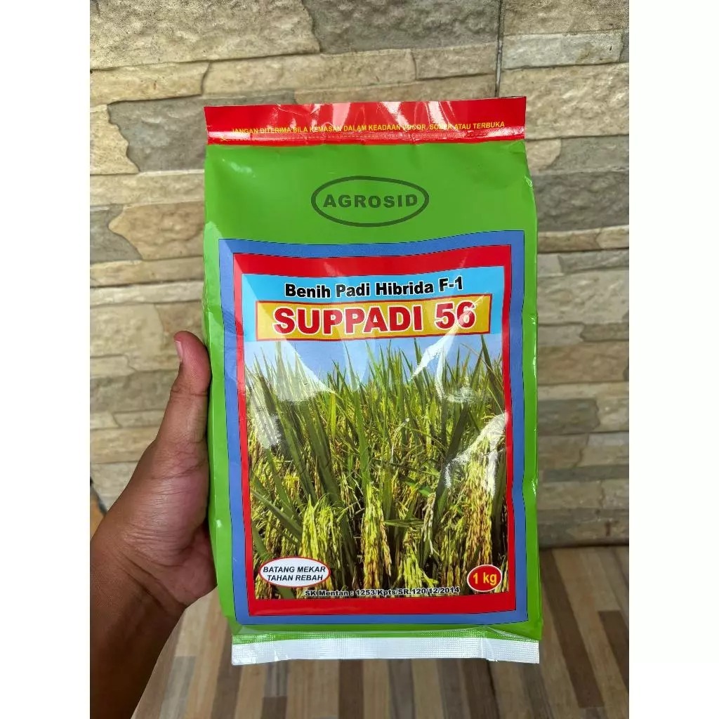 Benih Padi HIBRIDA SUPPADI 56 / Benih Padi Supadi 56 BISA (COD)