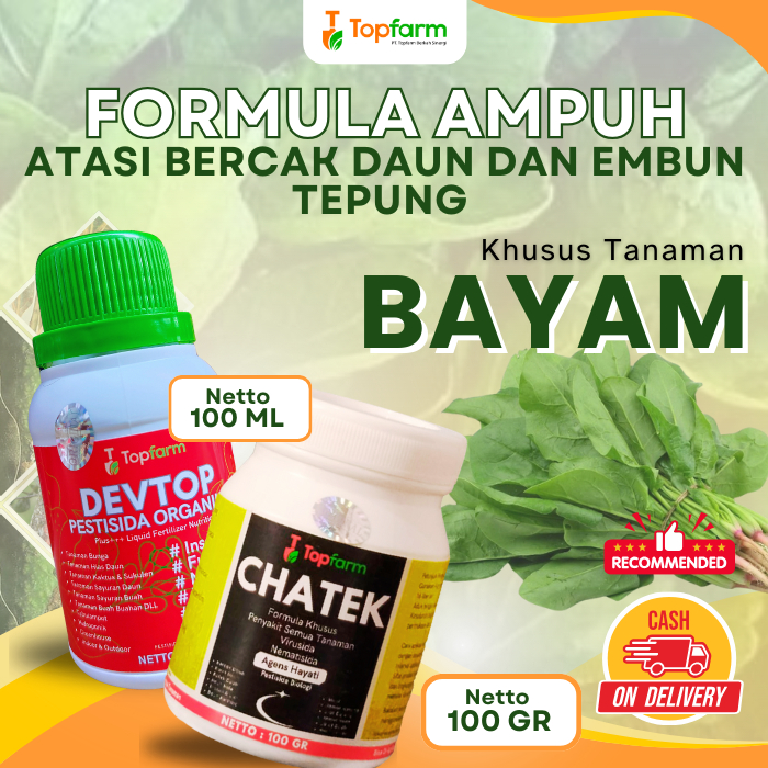 Pestisida Daun Bayam / Obat Hama Sayuran bayam / Obat Hama Tanaman Daun Bayam