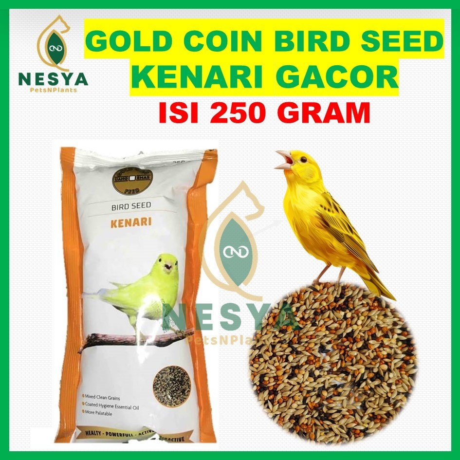 Gold Coin Kenari 250Gr Pakan Kenari GOLD COIN KENARI Gacor Biji Kenari