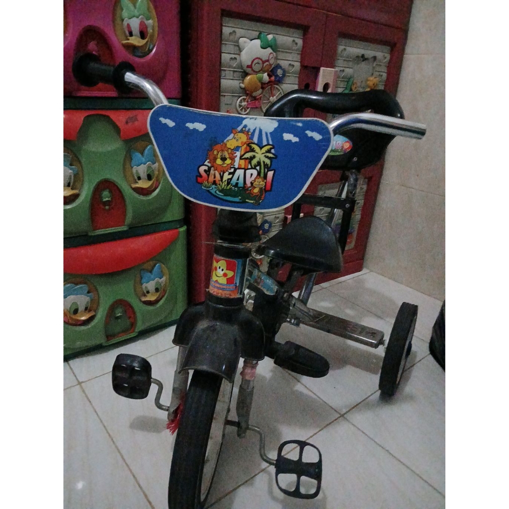 Preloved sepeda anak safari