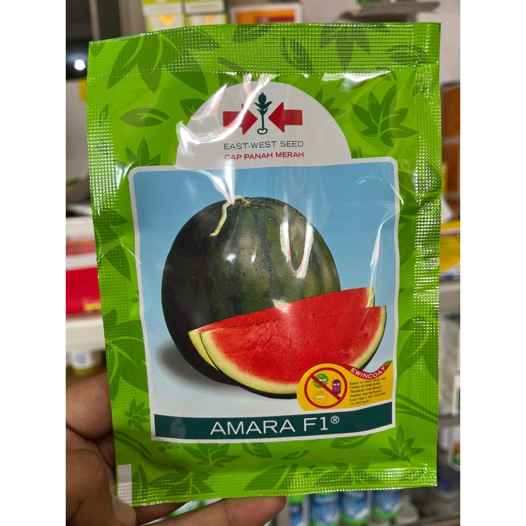 Bibit Semangka Lonjong Amara - Benih Semangka Panen Cepat dan Mudah Tanam