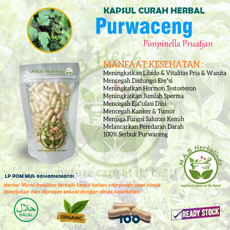 Kapsul Herbal Purwaceng – Energi Alami dari Pegunungan Dieng - 100 Kapsul