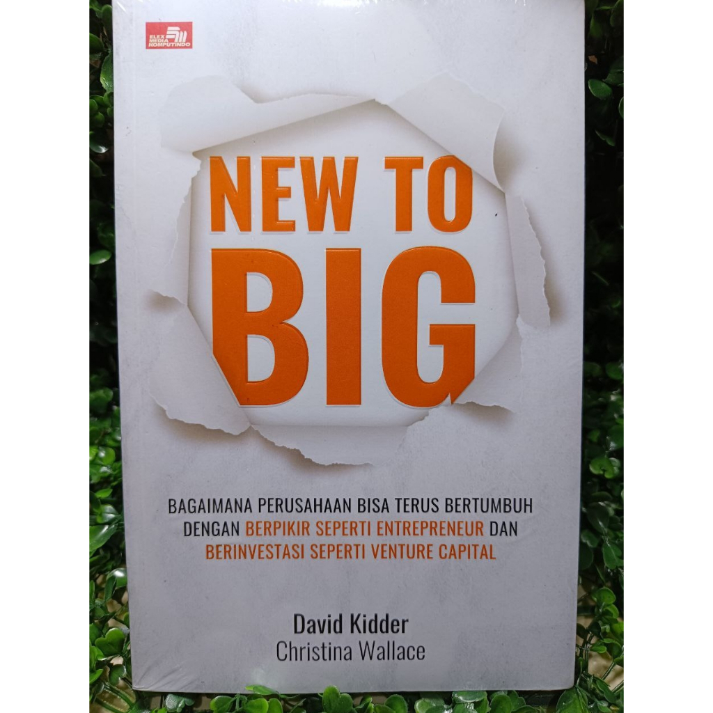 buku new to BIG - David Kidder - Christina Wallace