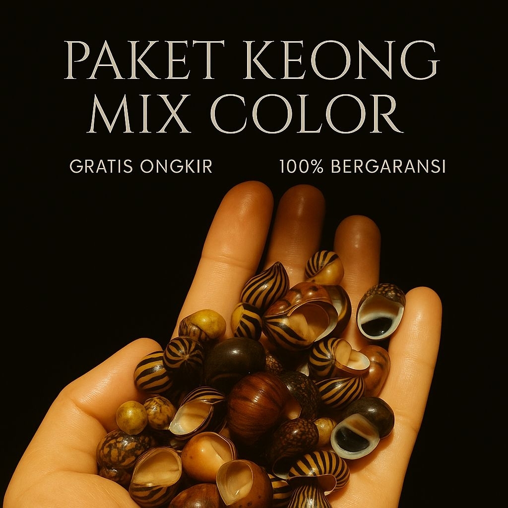 Paket keong pembersih mix color - keong aquarium - keong aquascape - keong hias aquarium - hiasan aq