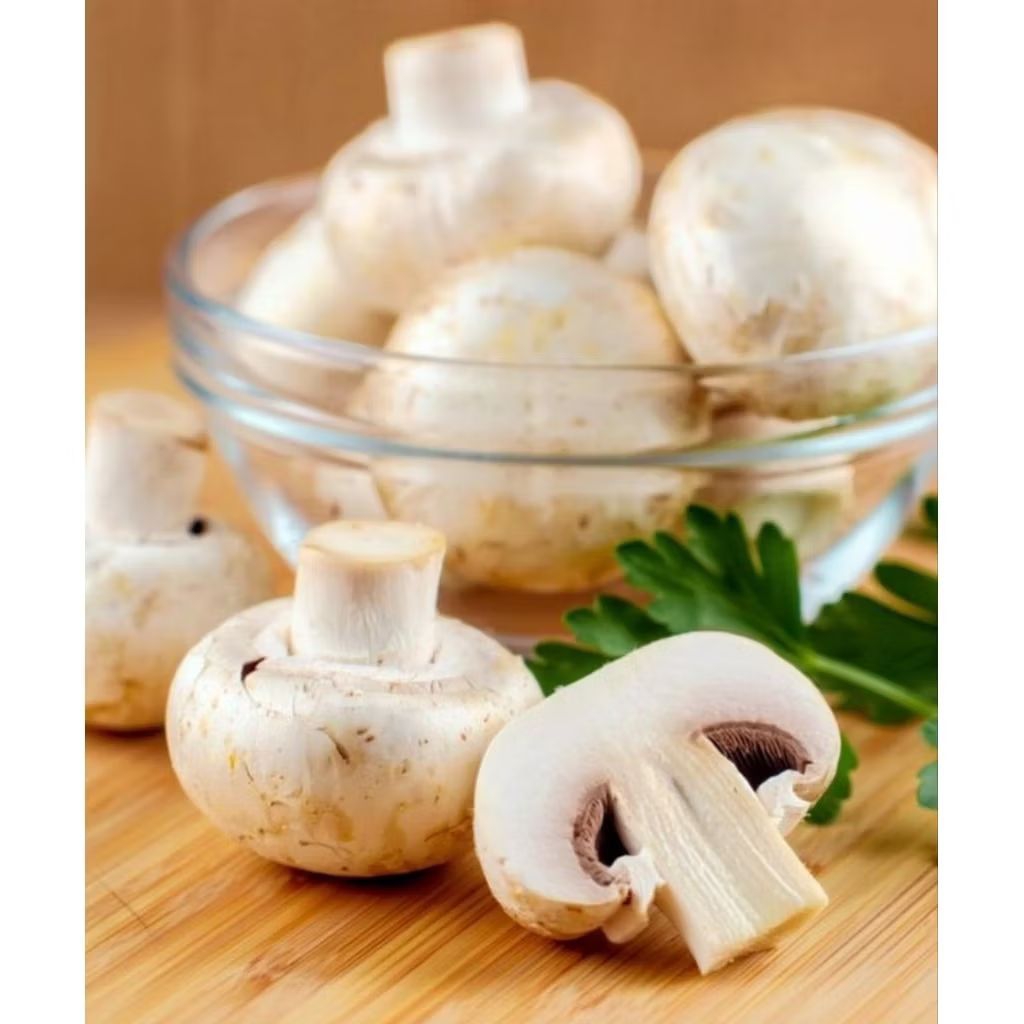 jamur kancing segar 1 kg