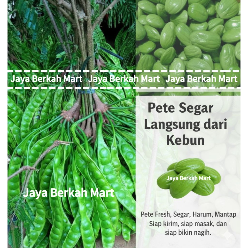 Pete/Petai Tua 1 Papan/Lonjor. Pete Petai Segar. Pete Petai Super. Pete Petai Tua Segar Fresh
