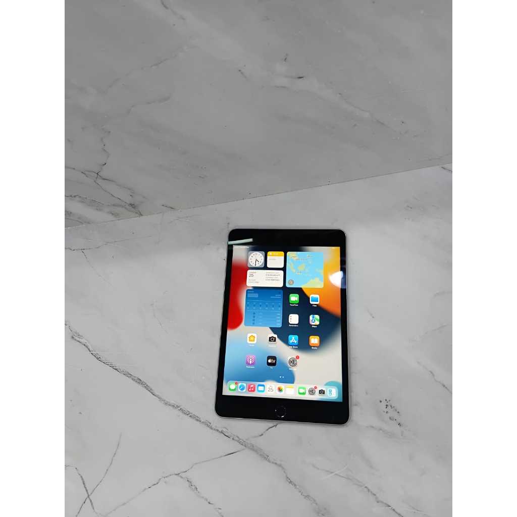 Ipad Mini 4 A1538 128gb wifi celuler