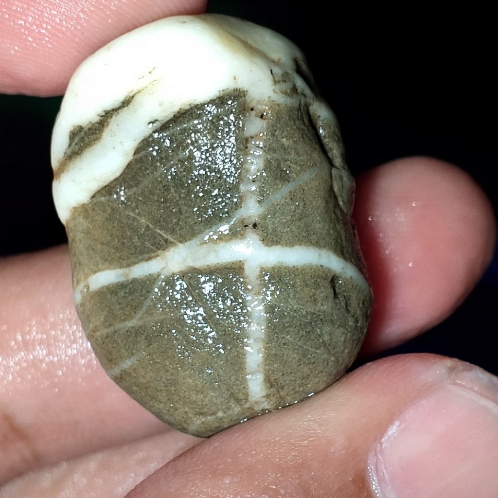 Batu bahan tapak jalak tali putih