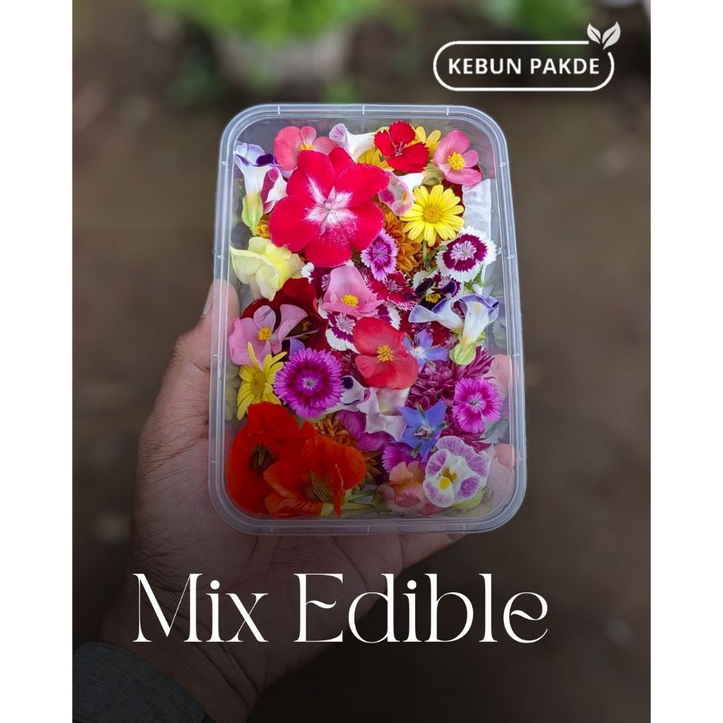 MIX EDIBLE FLOWER | Fresh Edible Flowers | Toping Makanan dan Minuman | Bunga Segar | Bunga Resto