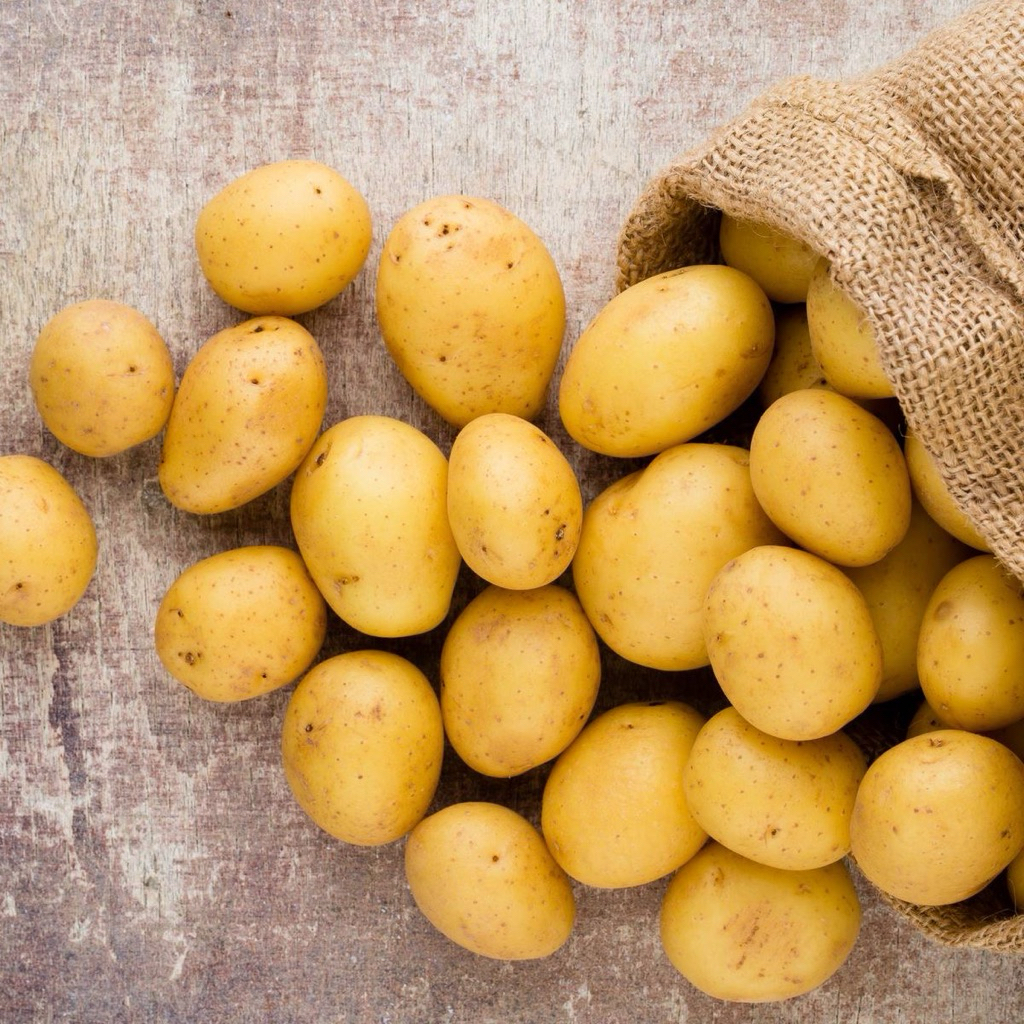 kentang G0 granola L