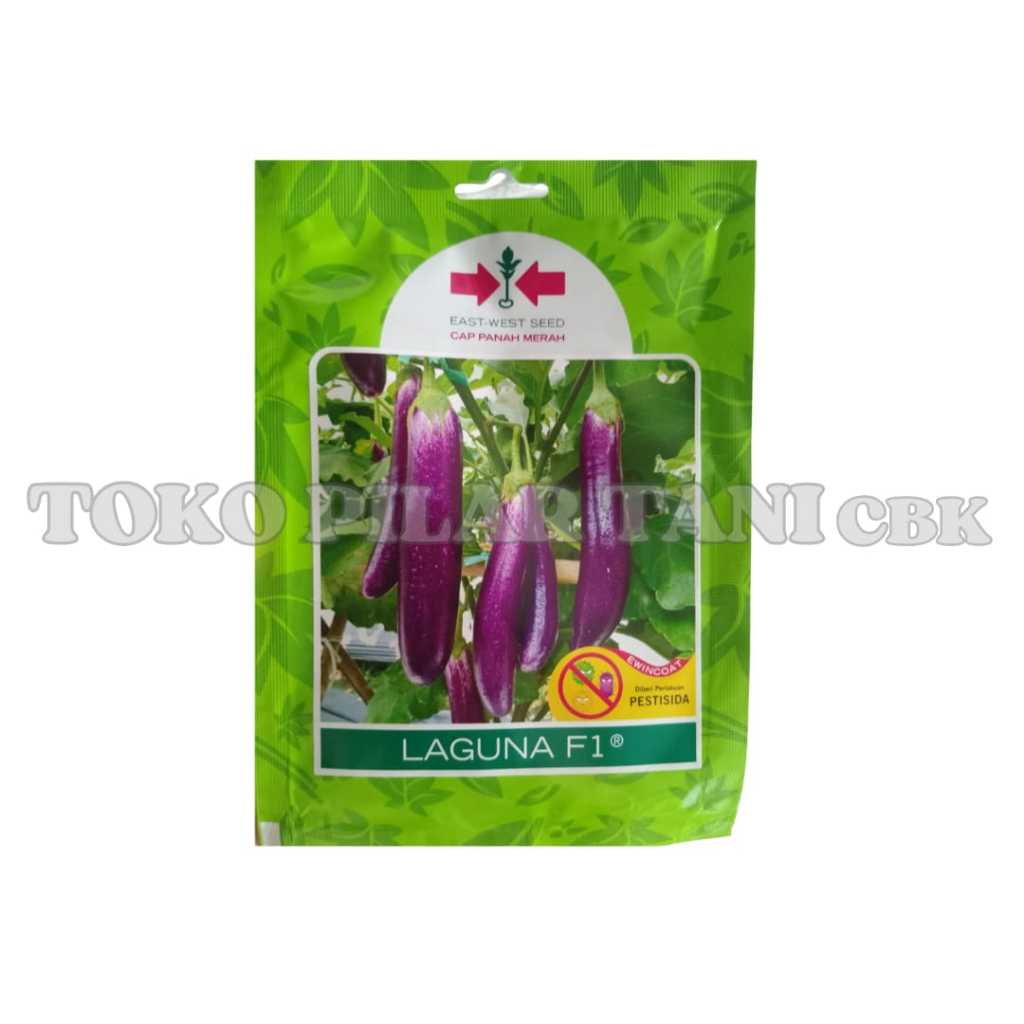 Benih Terong Ungu Laguna 400 Btr