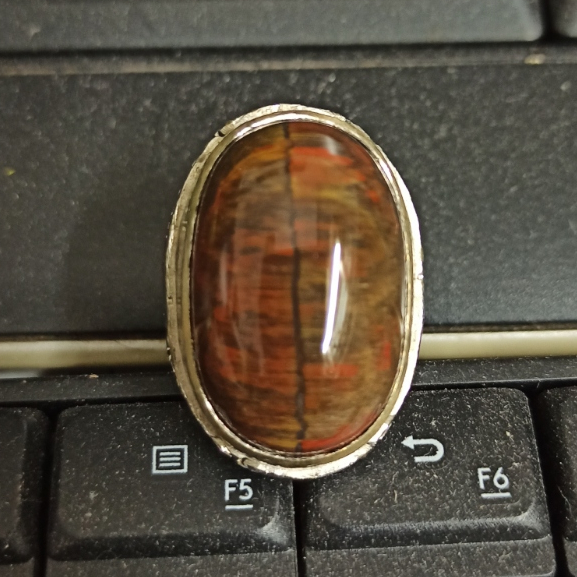 Fosil Kelor Kendit Multicolor Baturaja