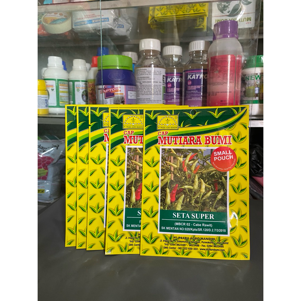 Bibit Cabe Rawit  cap Mutiara bumi