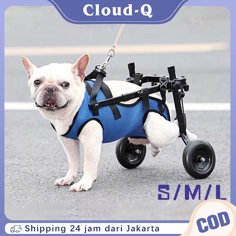Hind Legs Untuk Kucing Dan Anjing / Alat Bantu Jalan Anjing Kucing / Kucing Anjing Wheelchair