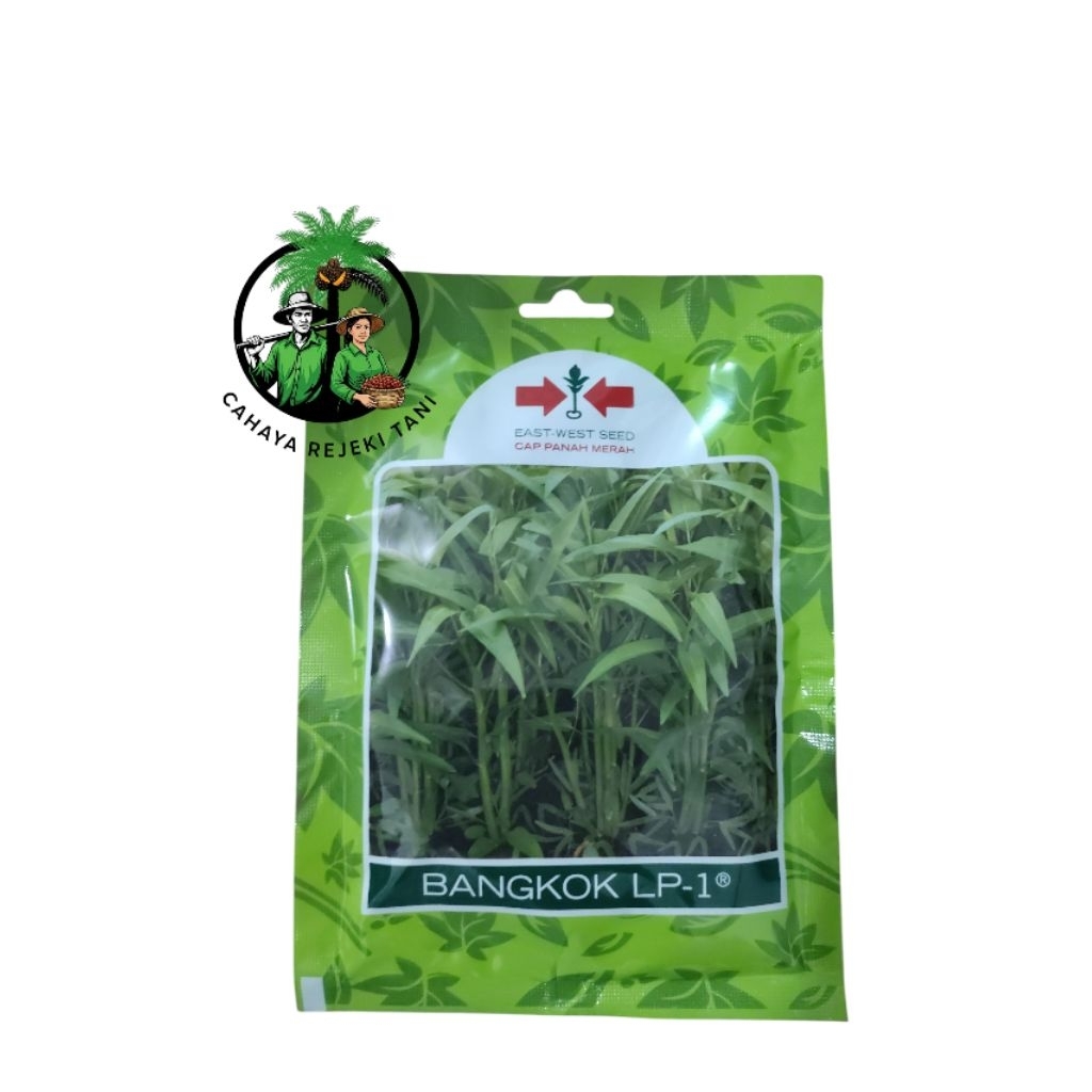 Benih Kangkung Bangkok LP 1
