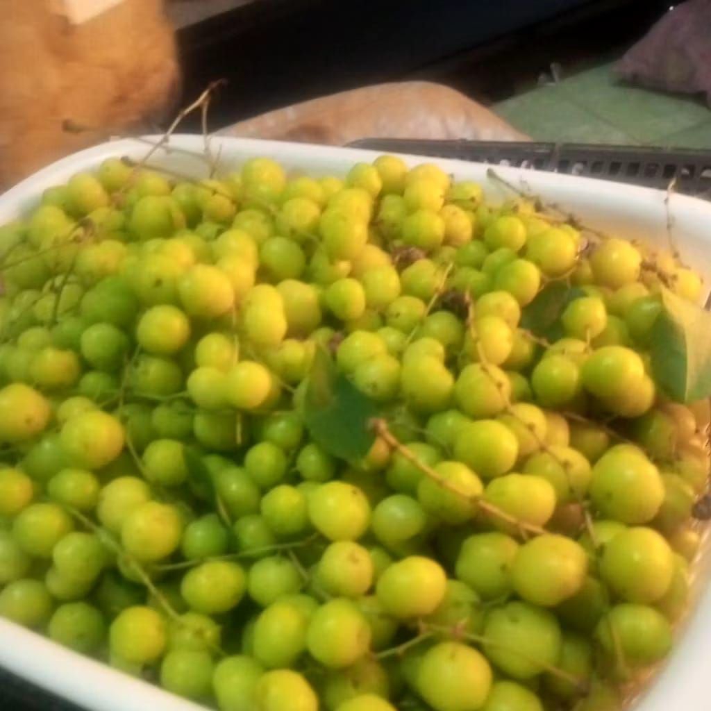 buah cerme/CERMAI segar 1 kg