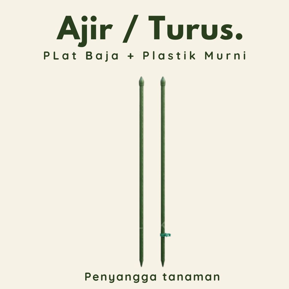 Penyangga Tanaman / Ajir / Turus