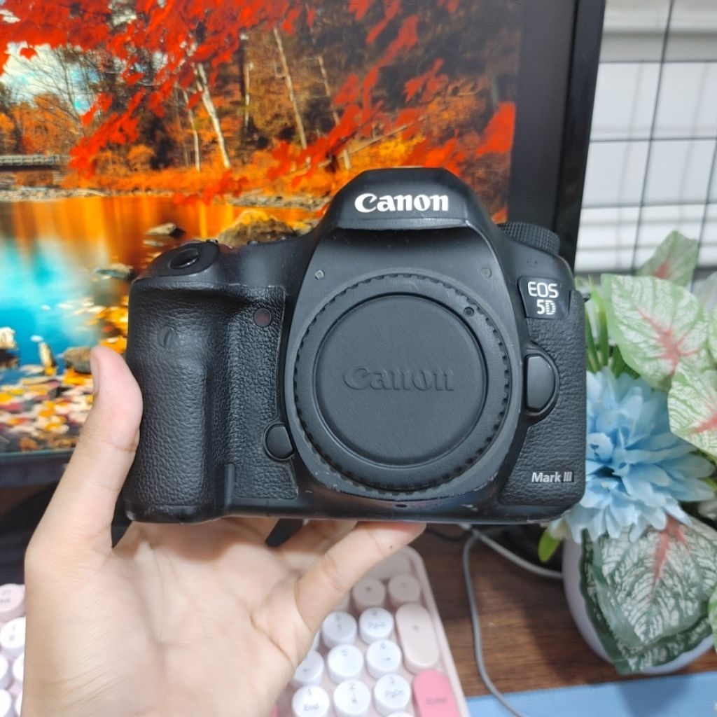 Canon 5D Mark III SC 252k
