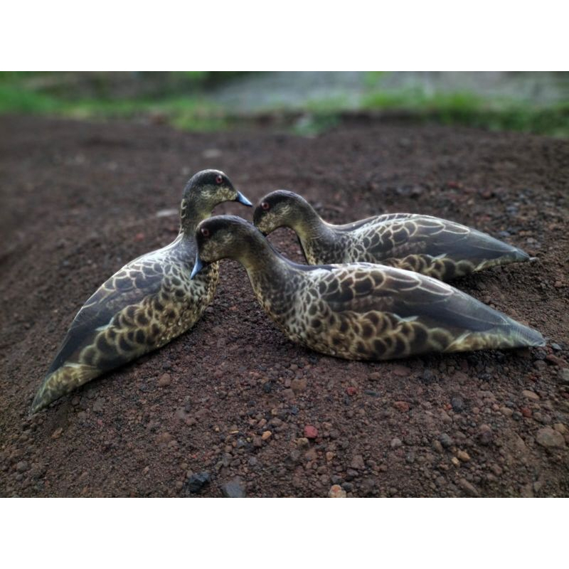 PATUNG JONTROT BELIBIS BATU ( GREY TEAL ) - JONTROT BURUNG BELIBIS - PATUNG BELIBIS LAUT