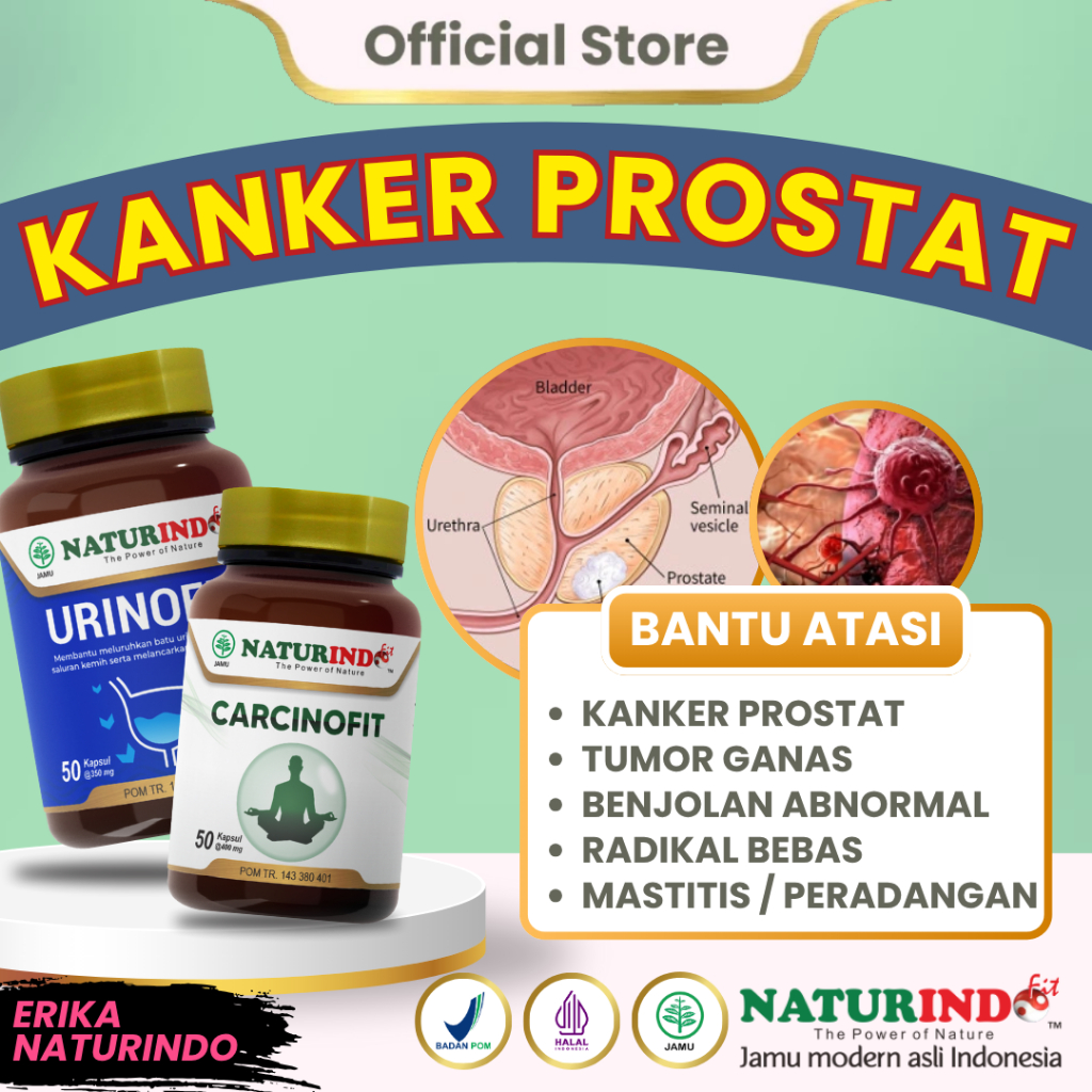 Herbal Kanker Prostat Carcinofit Urinofit NATURINDO