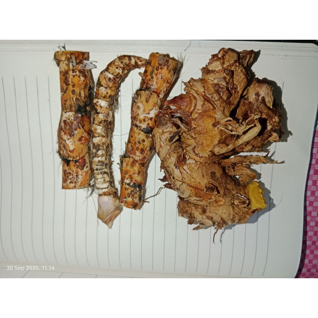 Paket delingo bangle