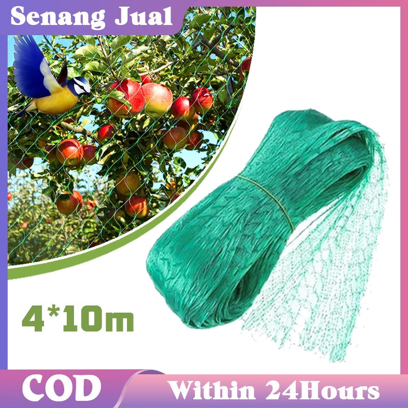 4x10m Jaring Burung Emprit Jaring Tanaman Multifungsi Jaring Padi Sawah Jaring Anti Burung