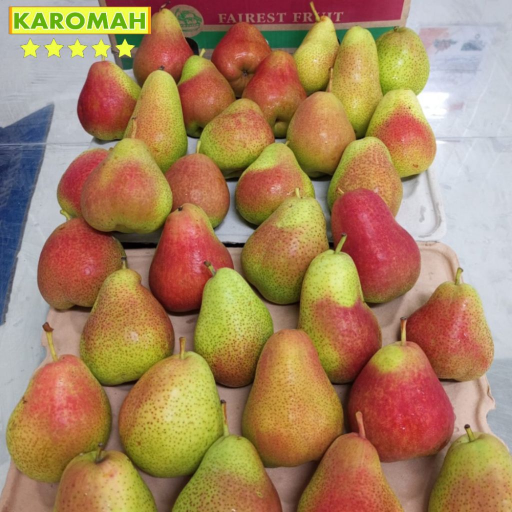 BUAH PEAR HIJAU FORELLE / pir porelle/ pir poreli  1KG fresh & Maniss