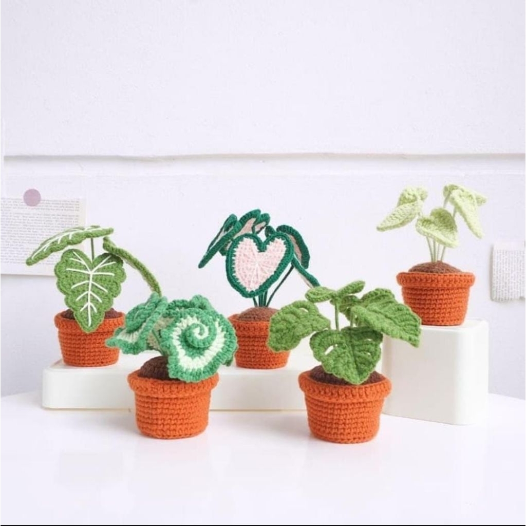 Monstera flower pot crochet/bunga monstera rajut dengan pot