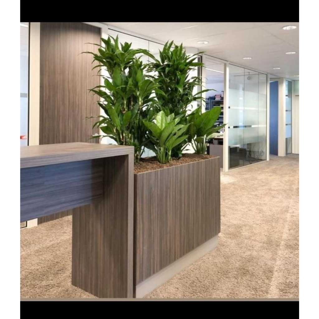 Pot Bunga Partisi Sekat Ruangan