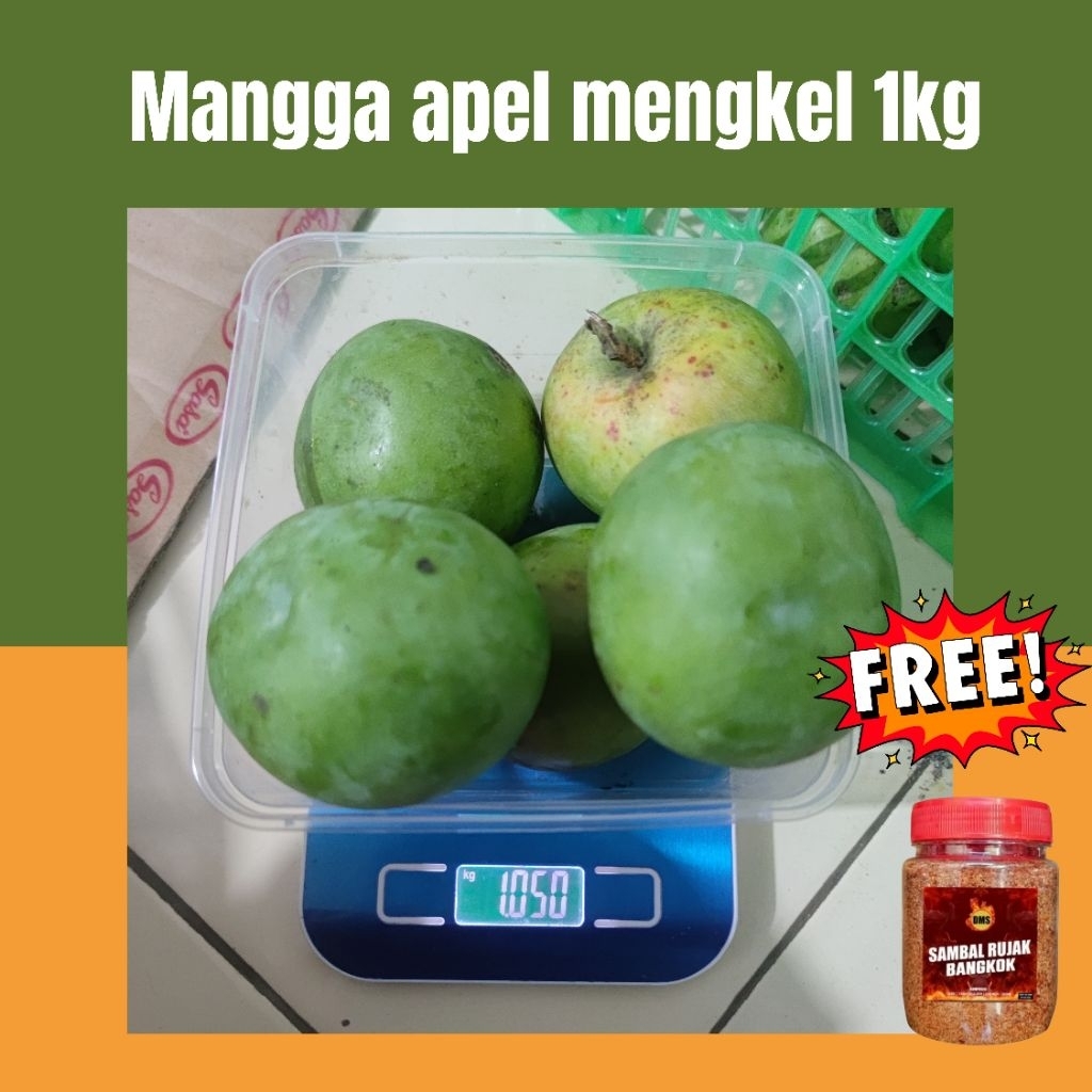MANGGA APEL 1KG ISI 10 FREE BUMBU RUJAK KERING BANGKOK THAILAND