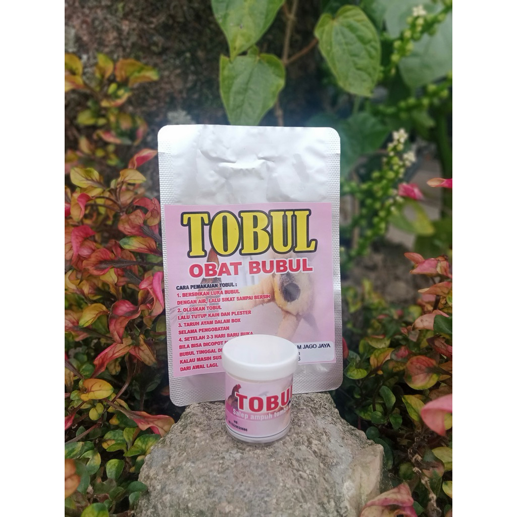 serenceng tobul obat ayam sakit bubul lumpuh