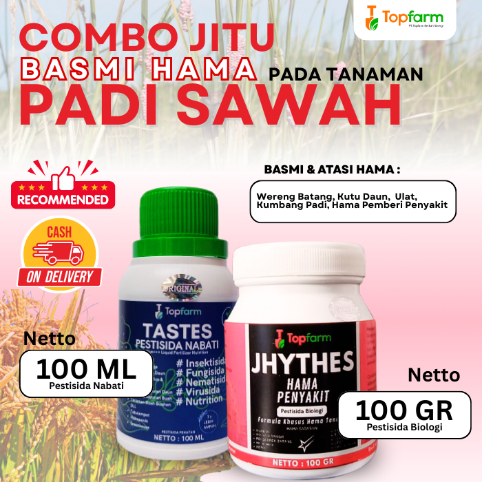 Insektisida Padi Sawah / Obat Semprot Pembasmi Hama Padi Sawah / Obat Hama Padi Sawah / Obat Hama Pa