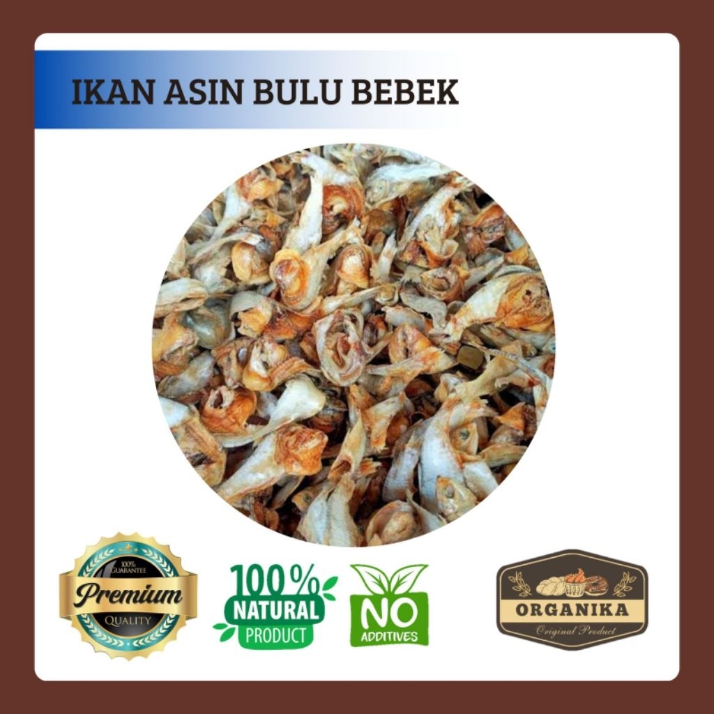 Ikan Asin Bulu Bebek 250gr -100gr / Entok Bebek Kering