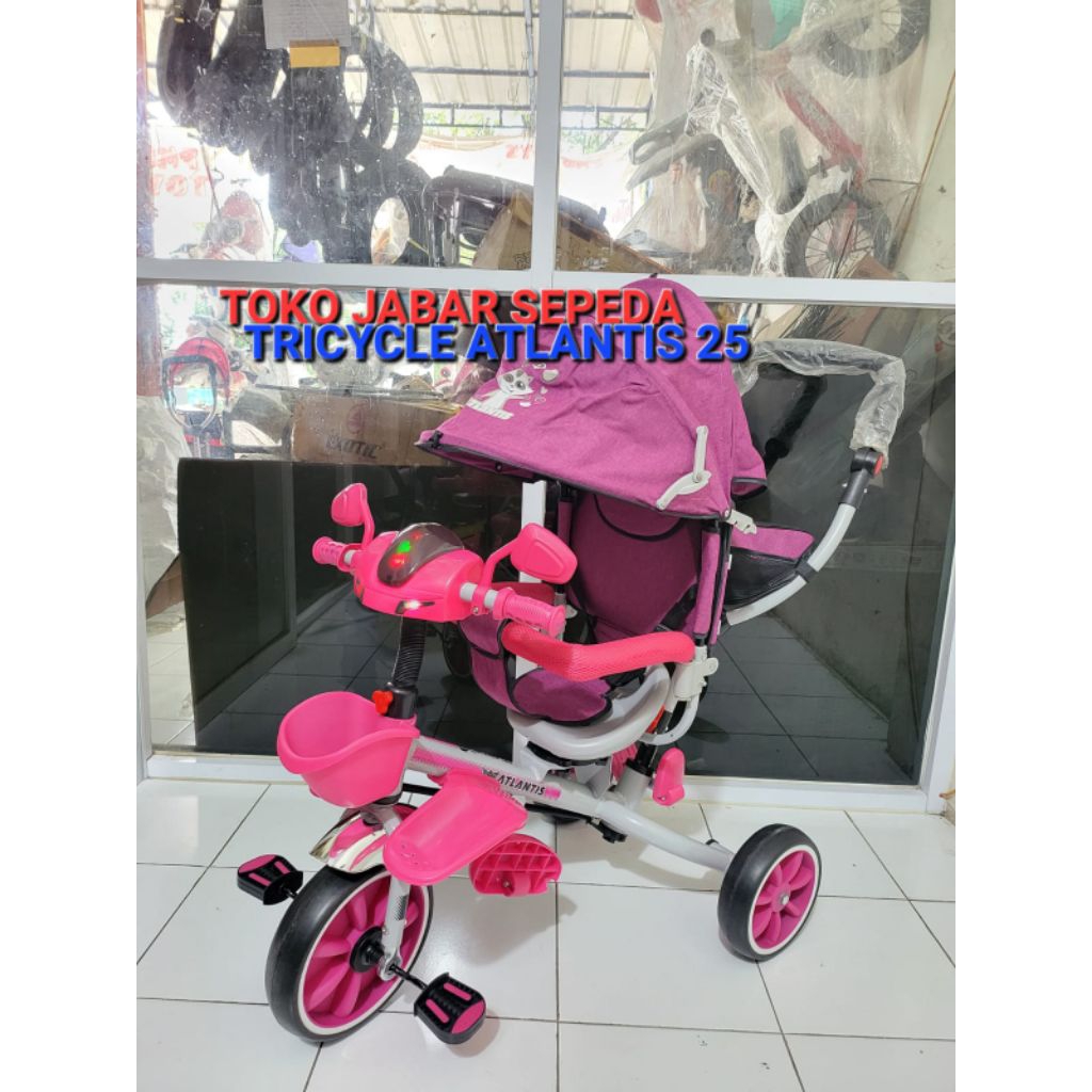 Tricycle Anak Sepeda Roda Tiga Atlantis Tudung