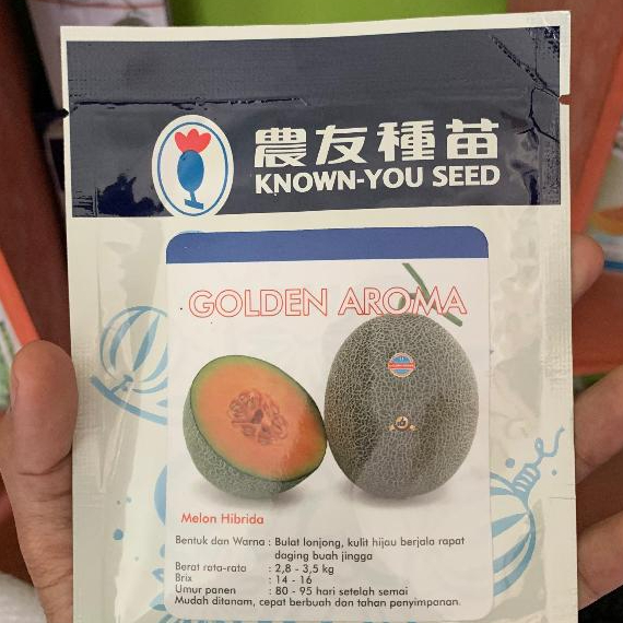 Golden Aroma benih buah melon 50 seed