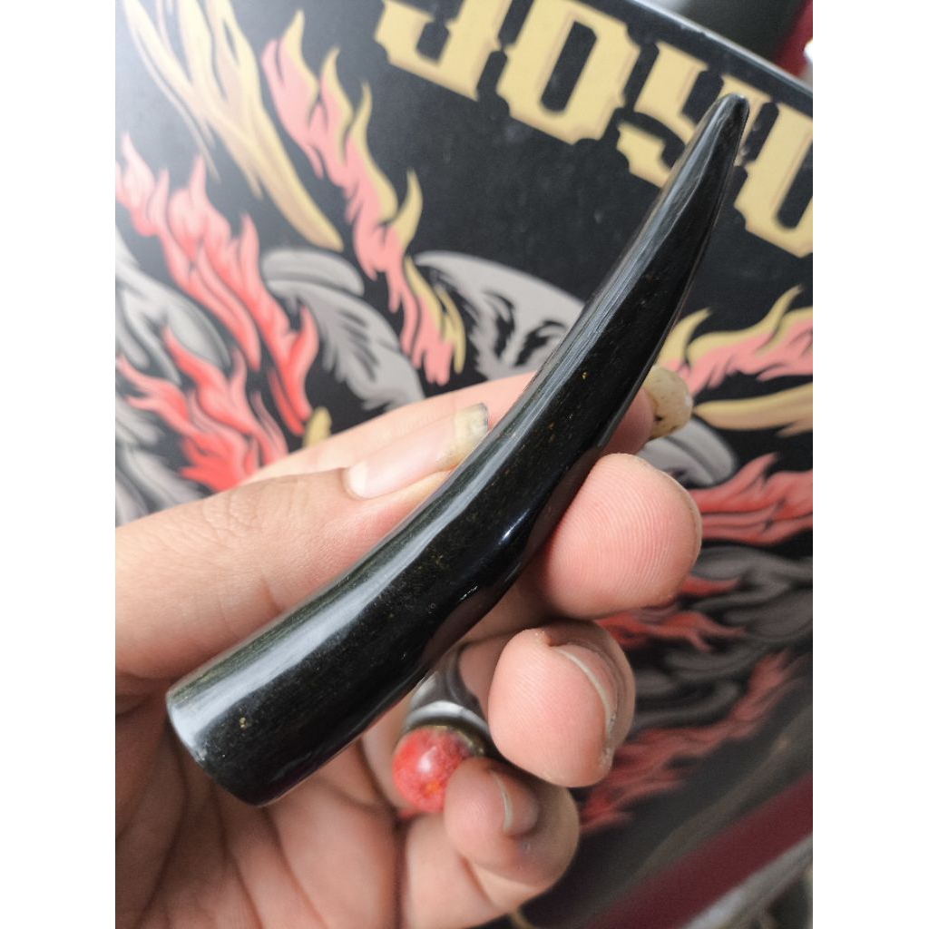 PIPA ONCE FOSIL KAYU AKAR BAHAR HITAM NATURAL