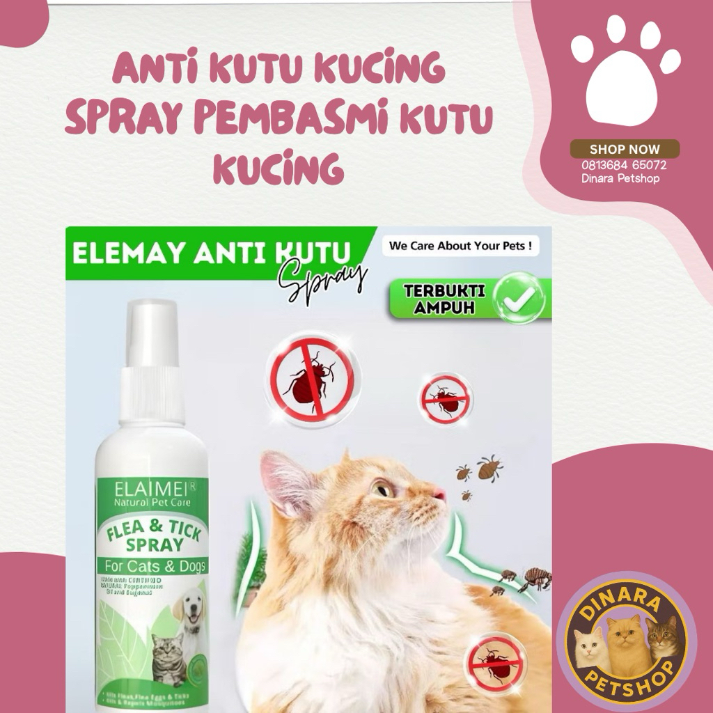 ANTI KUTU Kucing Anjing Kelinci | Spray Anti Kutu Alami Aman Terjilat