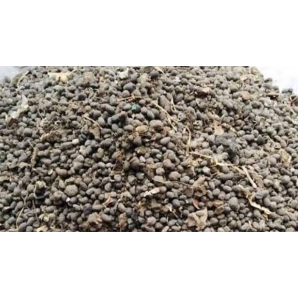 kohe kambing 1kg kering