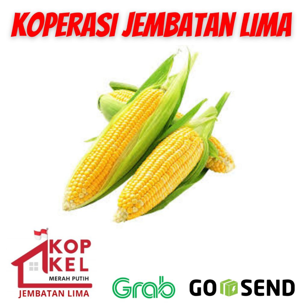JAGUNG MANIS UTUH 1 BUAH