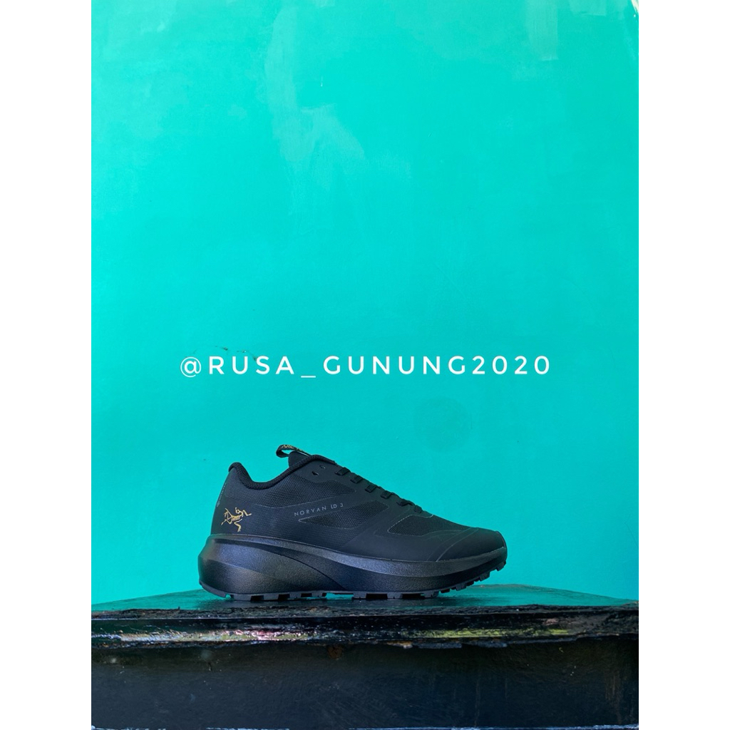 SEPATU ARCTERYX NORVAN LD3