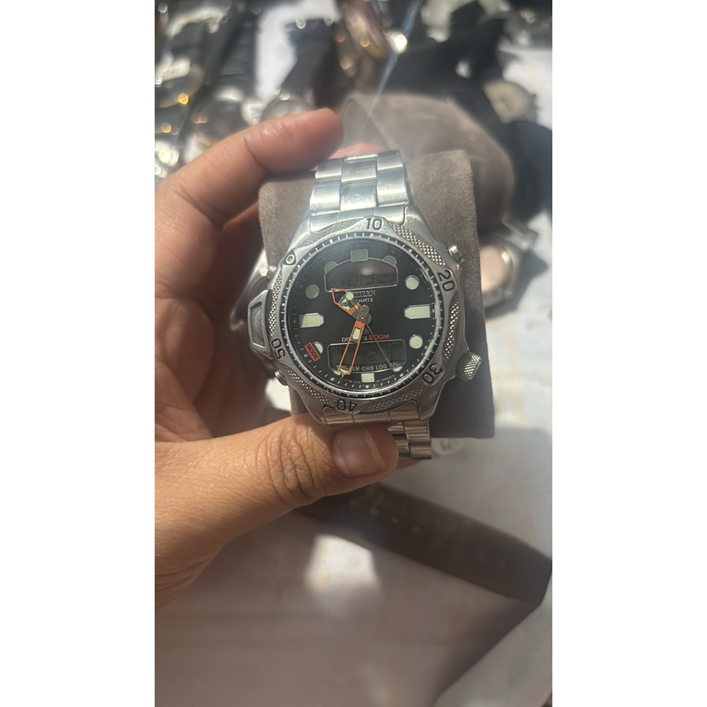 citizen promaster rare