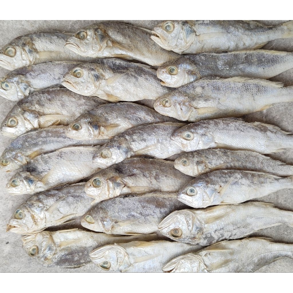 Ikan Asin Kepala Batu 1 Kg