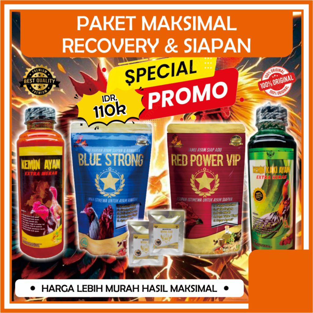 PAKET MAKSIMAL AYAM SIAP ADU Pemulihan rawatan ayam aduan agresif kulit merah merona
