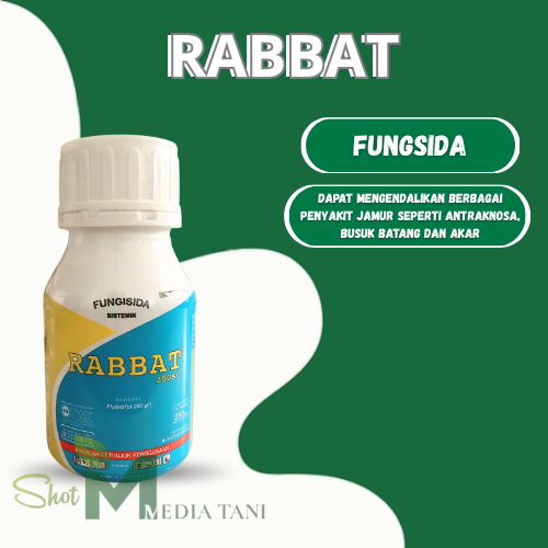 Rabbat 250SC 250ml Fungisida Sistemik Cair Efektif Untuk Tanaman Sehat